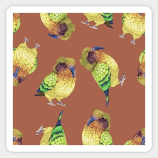 Kea Parrot Sticker